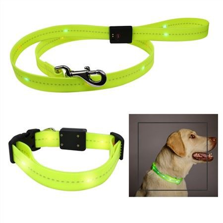 צווארון חיית מחמד LED עמיד למים