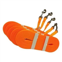 נשלף רצועת אילוף לכלבים עמיד למים