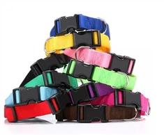 קולר כלב 15 מ"מ 20 מ"מ ניילון חזק