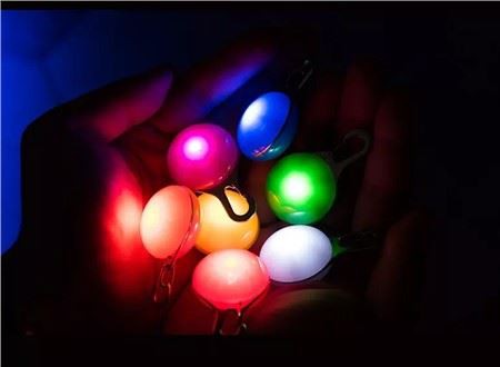 צווארון כלב LED תליון בטיחות להליכת לילה